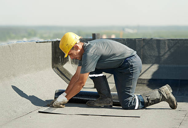 Types of Insulation We Offer in Blackshear, GA